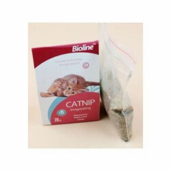 Bioline Catnip Kedi Otu 20 Gr - Bioline