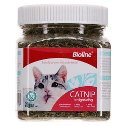 Bioline Catnip Kedi Otu 20 Gr - Bioline