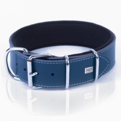 Doggie Çift Kat Deri Köpek Boyun Tasması Royalblue 5x50-60 Cm - 3