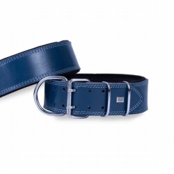 Doggie Çift Kat Deri Köpek Boyun Tasması Royalblue 6x55-65 Cm - Doggie