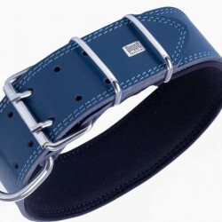 Doggie Çift Kat Deri Köpek Boyun Tasması Royalblue 6x55-65 Cm - 2