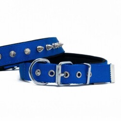 Doggie Konfor Dokuma Çivili Köpek Boyun Tasması Royalblue 2,5x37-45 Cm - Doggie