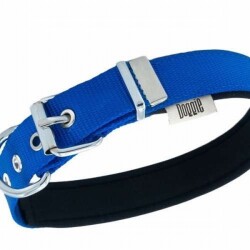 Doggie Konfor Dokuma Çivili Köpek Boyun Tasması Royalblue 2,5x37-45 Cm - 2