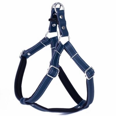 Doggie Konfor Ronin Deri Köpek Göğüs Tasması Royalblue 2x55 65 Cm - 2