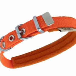 Doggie Polar Pedli Sade Dokuma Köpek Boyun Tasması Turuncu 1,5x20-25 Cm - 2