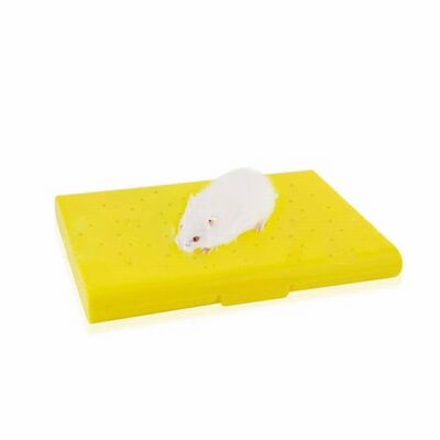 EuroGold Carno Soğutucu Buz Torbalı Hamster Yatağı 14x10x1 Cm - 1