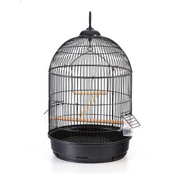 EuroGold Yuvarlak Salon Kuş Kafesi Siyah 42x77 Cm - EuroGold