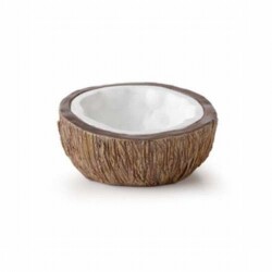 Exo Terra Ex Coconut Water Dish Sürüngen Su Kabı - Exo Terra