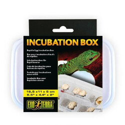 Exo Terra Incubation Box Sürüngenler İçin Kuluçka Kutusu 16,5x11x5 Cm - Exo Terra