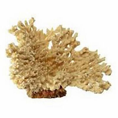 Ferplast 9132 Coral Beige Blue Mercan Akvaryum Dekoru Bej - 1