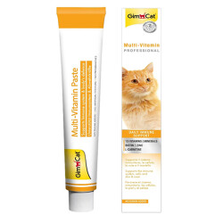 GimCat Multi Vitamin Kedi Macunu 100 Gr - GimCat