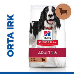 Hill’s SCIENCE PLAN Adult Medium Lamb & Rice Orta Irk Kuzulu Yetişkin Köpek Maması 14 Kg - Hill's Science Plan