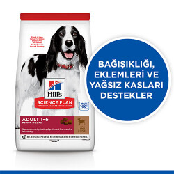 Hill’s SCIENCE PLAN Adult Medium Lamb & Rice Orta Irk Kuzulu Yetişkin Köpek Maması 14 Kg - 2