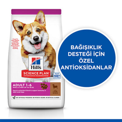 Hill’s SCIENCE PLAN Adult Small & Mini Lamb & Rice Küçük Irk Kuzulu Yetişkin Köpek Maması 6 Kg 620-604319-P - 2