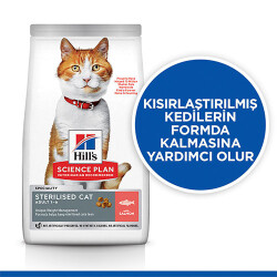 Hill’s SCIENCE PLAN Sterilised Somon Balıklı Kısırlaştırılmış Kedi Maması 15 Kg - 2