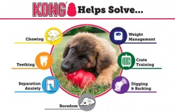 Kong Classic Kauçuk Köpek Oyuncağı XL 13 Cm - 3