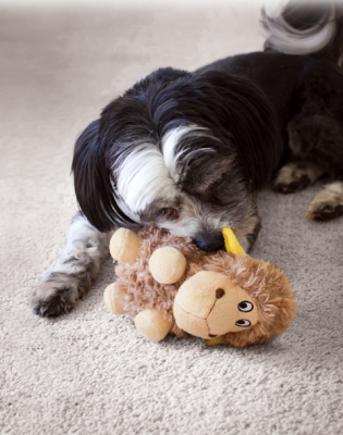 Kong Cruncheez Hışırtılı Koyun Peluş Köpek Oyuncağı Large 21 Cm - 2