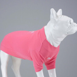 Lindodogs Cotton Candy Tshirt Köpek Kıyafeti Beden 6 - Lindodogs