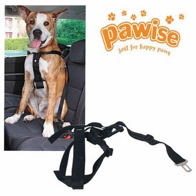 Pawise Emniyet Kemer Tokalı Köpek Tasması XL 80-110 Cm - 1