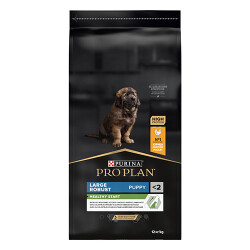 Pro Plan Large Robust Puppy Chicken Tavuklu Büyük Irk Yavru Köpek Maması 12 Kg - 2