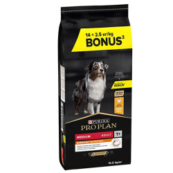 Pro Plan Medium Adult Sensitive Digestion Tavuklu Orta Irk Yetişkin Köpek Maması 16,5 Kg - Pro Plan