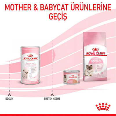 Royal Canin Babycat Milk Yavru Kedi Süt Tozu 300 Gr - 3