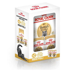 Royal Canin British Shorthair Adult Yetişkin Kedi Maması 2 Kg+2 Adet Pouch Hediye - Royal Canin