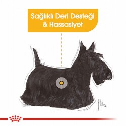 Royal Canin Ccn Dermacomfort Loaf Pate Pouch Küçük Irk Yetişkin Köpek Konservesi 85 Gr - 2