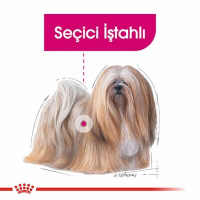 Royal Canin Ccn Exigent Loaf Pate Pouch Küçük Irk Yetişkin Köpek Konservesi 12 Adet 85 Gr - 2