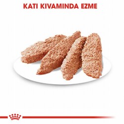 Royal Canin Ccn Exigent Loaf Pate Pouch Küçük Irk Yetişkin Köpek Konservesi 6 Adet 85 Gr - 3