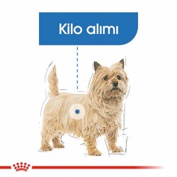 Royal Canin Ccn Mini Light Weight Care Küçük Irk Light Köpek Maması 3 Kg - 2