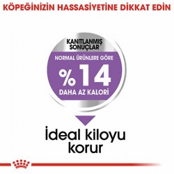 Royal Canin Ccn Mini Sterilised Küçük Irk Kısırlaştırılmış Köpek Maması 3 Kg - 3