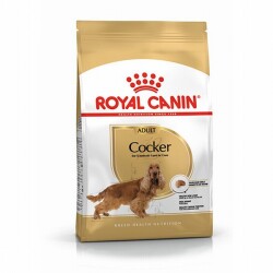 Royal Canin Cocker Spaniel Adult Yetişkin Köpek Maması 3 Kg - Royal Canin