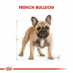 Royal Canin French Bulldog Adult Yetişkin Köpek Maması 3 Kg - 3