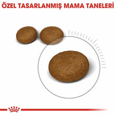 Royal Canin Hair Skin Adult Hassas Tüy Sağlığı Yetişkin Kedi Maması 2 Kg - 2