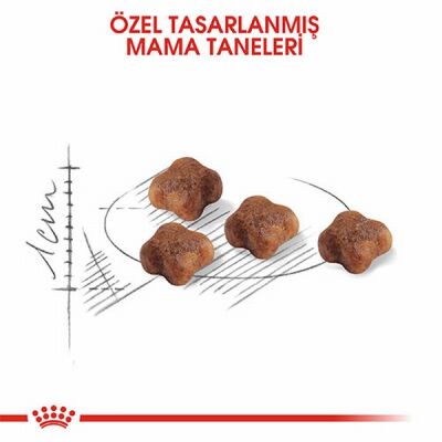 Royal Canin Mother & Babycat Yavru Kedi Maması 400 Gr - 2