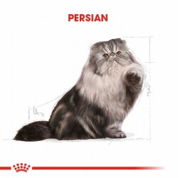 Royal Canin Persian Adult Pouch Yetişkin Kedi Konservesi 85 Gr - 3