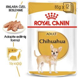 Royal Canin Pouch Chihuahua Adult Yetişkin Köpek Konservesi 6 Adet 85 Gr - 2