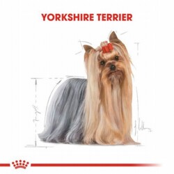 Royal Canin Yorkshire Terrier Adult Yetişkin Köpek Maması 1,5 Kg - 2