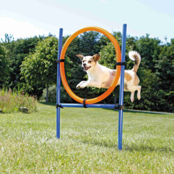 Trixie Agility Köpek Eğitim Çemberi 115x65x3 Cm - Trixie