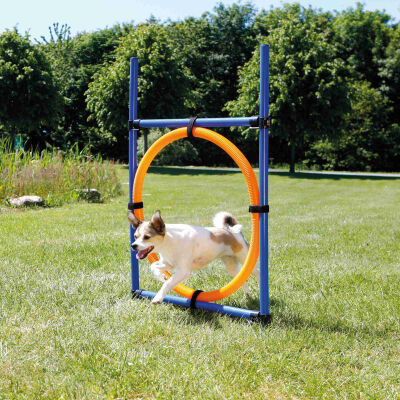 Trixie Agility Köpek Eğitim Çemberi 115x65x3 Cm - 2