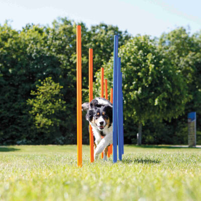 Trixie Agility Köpek Eğitim Direkleri 13x110 Cm 12'li - 2