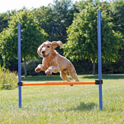 Trixie Agility Köpek Eğitim Manisi 129x115x3 Cm - Trixie