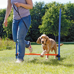 Trixie Agility Köpek Eğitim Manisi 129x115x3 Cm - 2