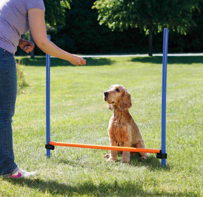 Trixie Agility Köpek Eğitim Manisi 129x115x3 Cm - 3