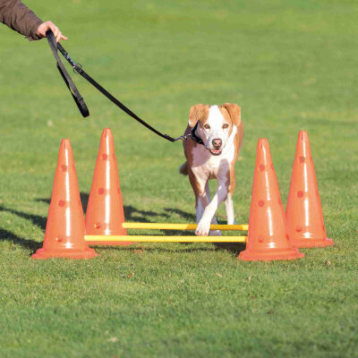 Trixie Agility Köpek Eğitim Oyuncağı 2'li 30x50x100 Cm - 1