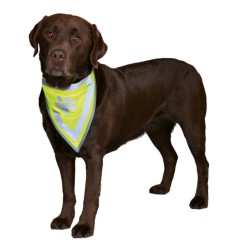 Trixie Köpek Bandanası 42-60 Cm L-XL - Trixie