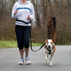 Trixie Köpek Koşu Yürüyüş Bel Kemeri ve Kayışı - Trixie