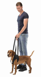 Trixie Köpek Yürütme Yardımcısı Siyah Medium 55-65 Cm - 3