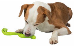 Trixie Termoplastik Yeşil Yılan Köpek Ödül Oyuncağı 42 Cm - Trixie